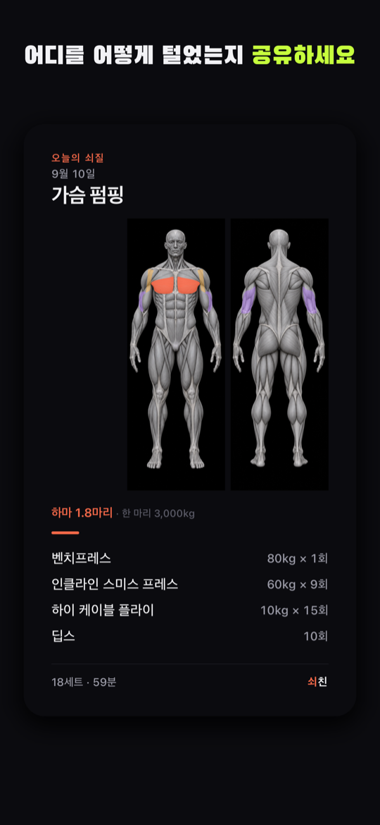 공유 카드. 앞·뒤 인체도가 들어간 스토리 크기 카드